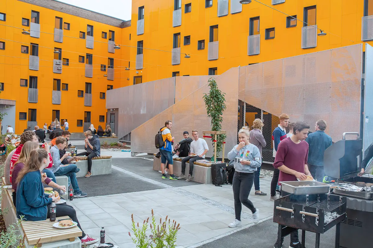 Университет в норвегии